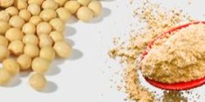 Soybean Flour