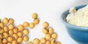 Toasted Defatted Soya Flour