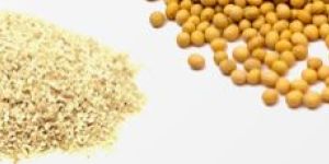Untoasted Defatted Soya Flakes