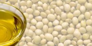 Trishul Refined Soybean Oil