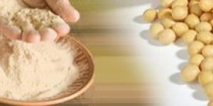 Untoasted Defatted Soya Flour