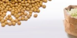 Untoasted Full Fat Soya Flour