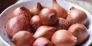 Fresh Shallots