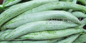 Fresh Snake Gourd