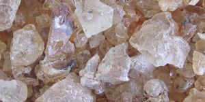 Anogeissus Latifolia Gum