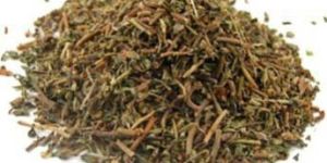 Bacopa Monnieri Tea Cut