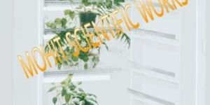 Plant Growth Chamber