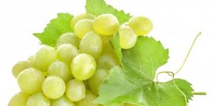 Fresh Grapes