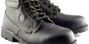 Wild Bull Safety Shoes