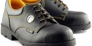 WildBull Safety Shoes