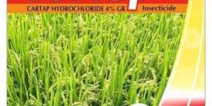 Hydrochloride Insecticide