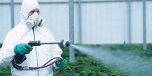 Pesticide Spray