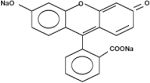 Fluorescein Sodium Usp