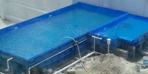 Shaped Swimming Pools