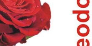 Petswill Rose Deodorant