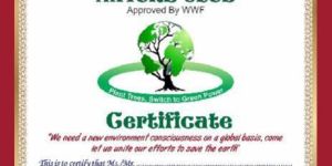 Certificate Printing & Designing Services