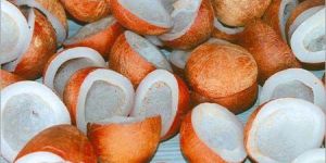 Coconut Copra