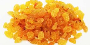 Golden Raisins
