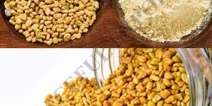 Fenugreek