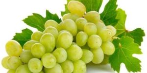 Fresh Grapes