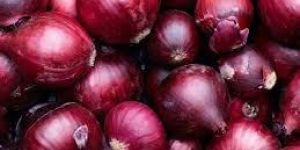 Fresh Red Onion