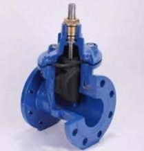 Rubber Wedge Gate Valve