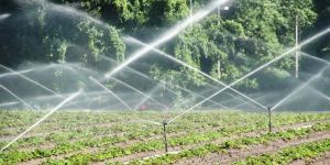 Agriculture Sprinklers
