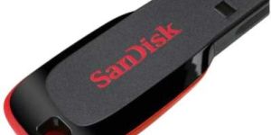 Sandisk Cruzer Blade USB Utility Pendrive 4 GB Multicolor