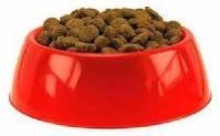 Pet Food Bowl