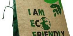 Eco Friendly Bags