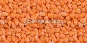 Red Lentils