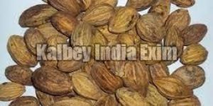 Terminalia Chebula Seeds