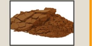 Polypodium Leucotomos