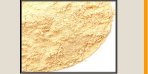 Soybean Extract
