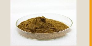 Tulsi Extract