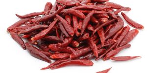 S4 Sannam Red Chilli