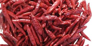 Wonder Hot Red Chilli