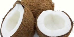 Fresh Coconut