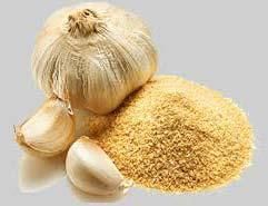 Dried Garlic Powder