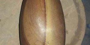 Narmadeswar Shivlingam