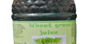 Hawaiian Herbal Wheat Grass Juice