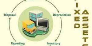 Assets Management Services