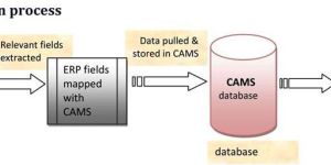 ERP Localization Services