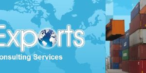 Import & Export Consulting Services