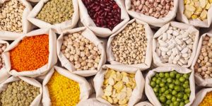 Indian Pulses