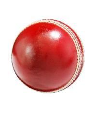 Cricket Leather Balls