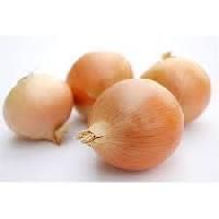 Organic Onion