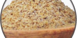 Dehydrated Garlic Powder