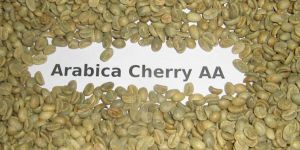 Arabica Cherry Coffee Beans