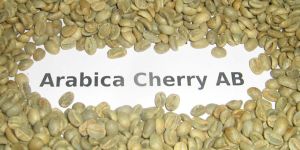 Green Arabica Coffee Beans